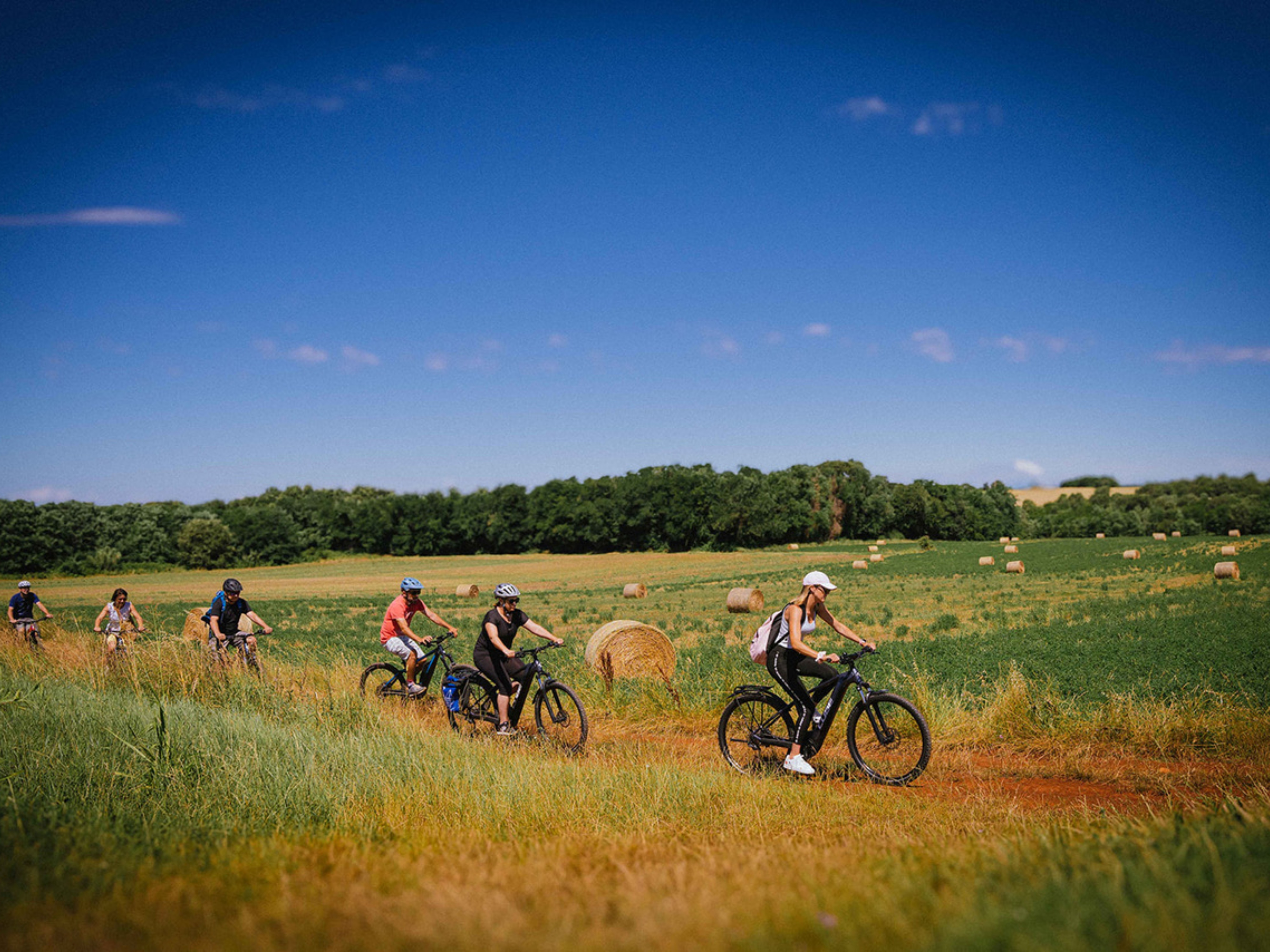 NOVI TURISTIČKI PROIZVOD Otkrijte domaće delicije kaštelirskog kraja svakog utorka uz Gourm-E-bike ture